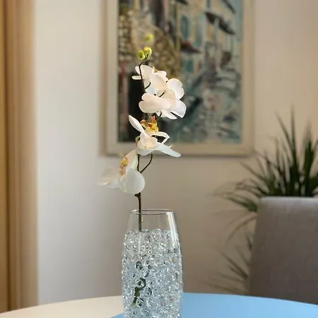 Apartment Portarata Pula